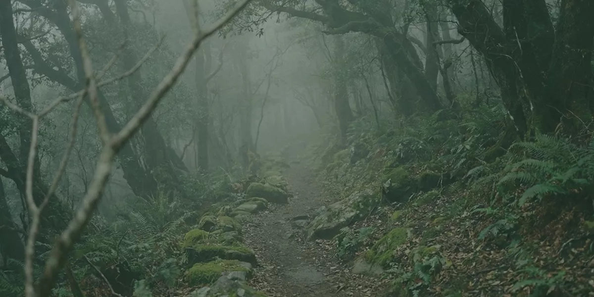 Something has changed