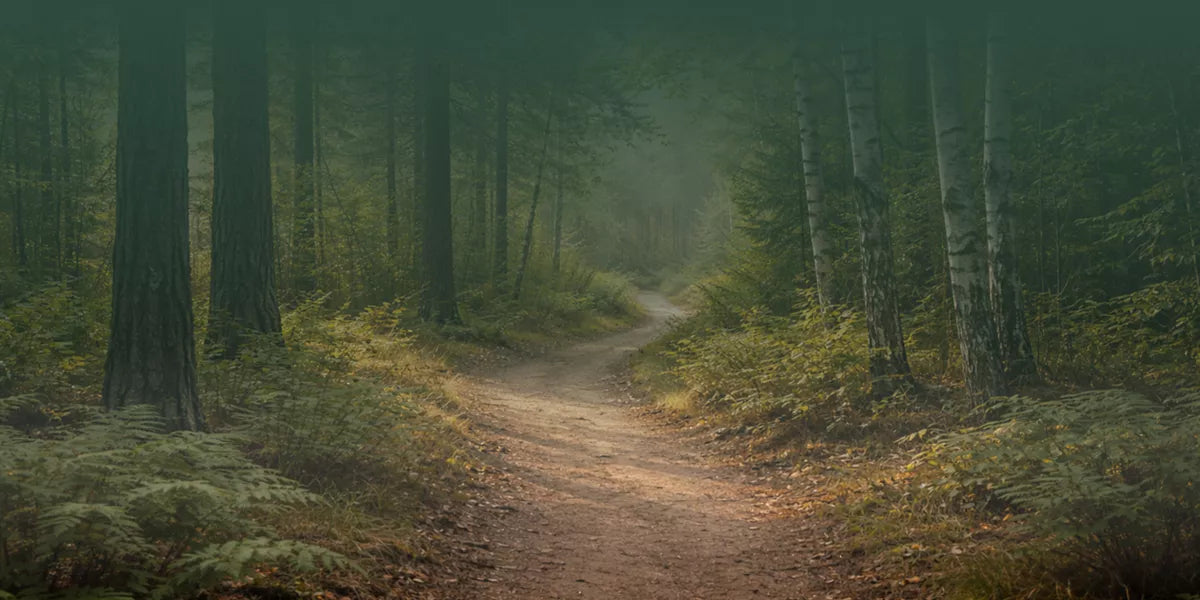 The trail I keep returning to