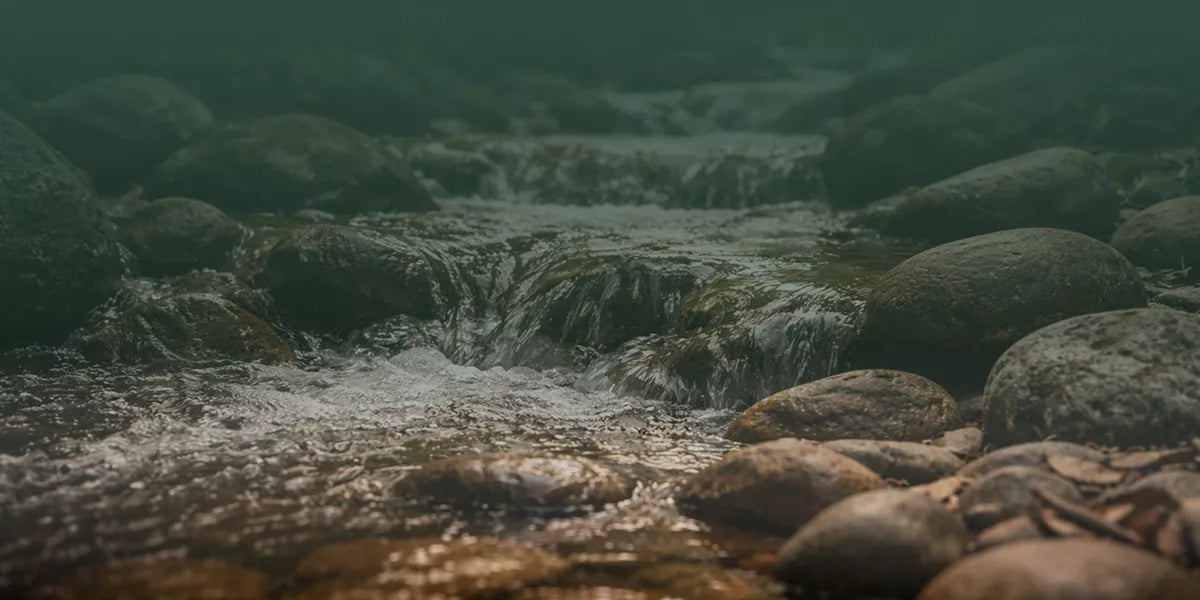 What does your favorite trail sound like