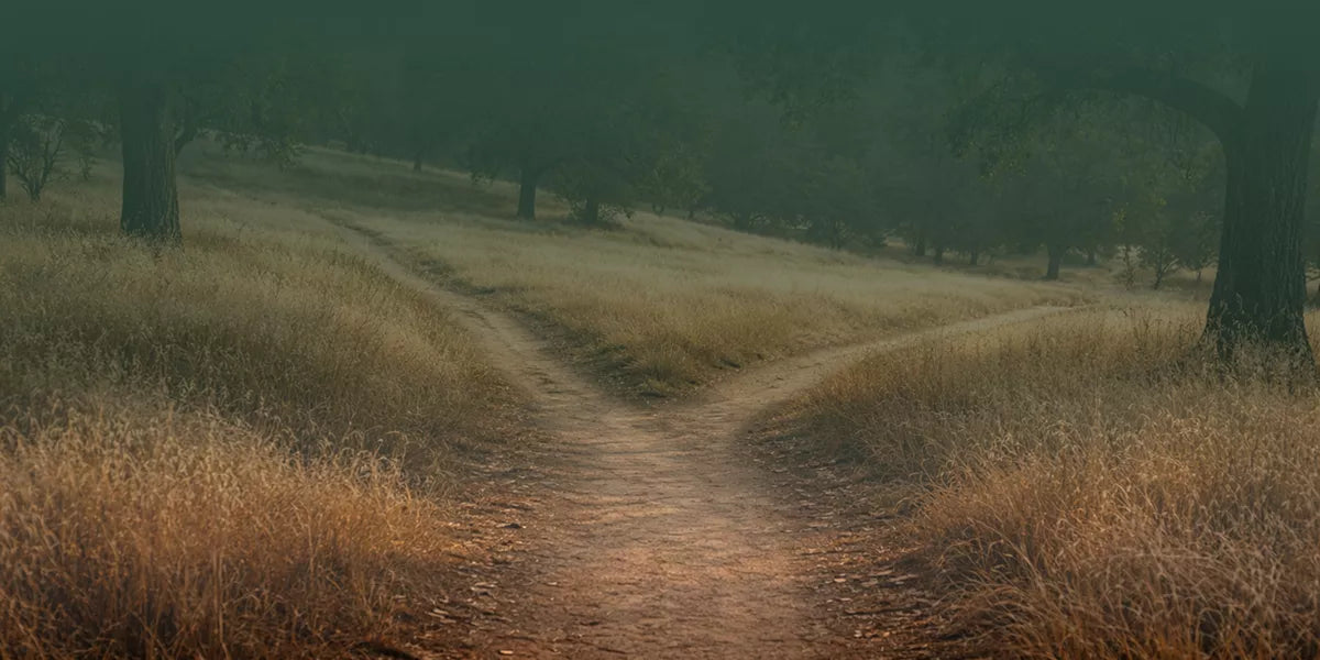 On walking without a destination