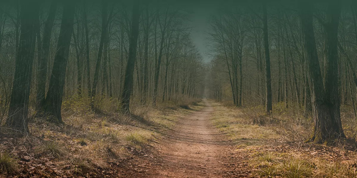 What the thaw teaches