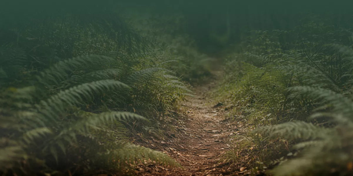 On being lost and not minding