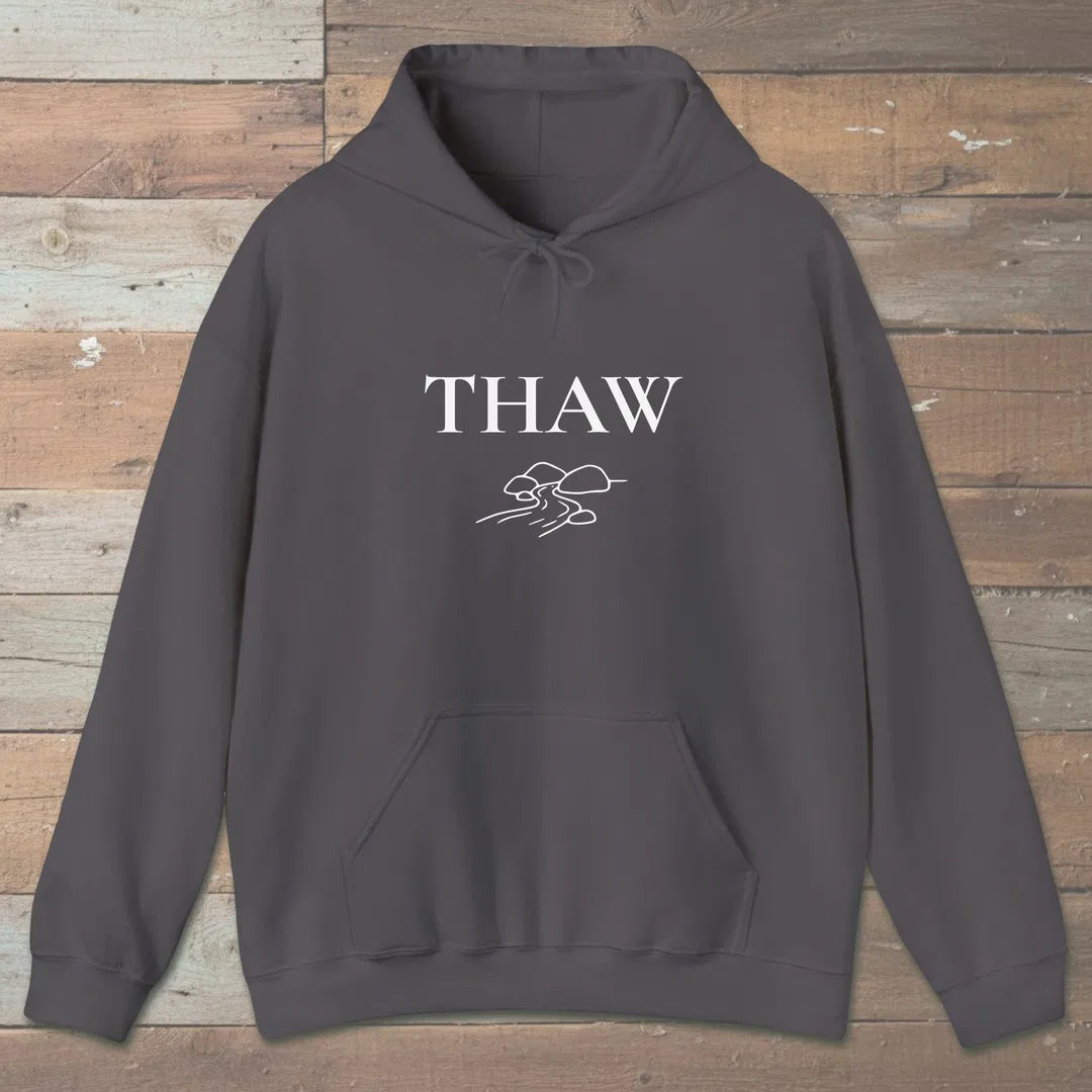 Thaw River Path Hoodie Charcoal Outdoor Nature Tee